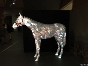 WhatsApp Image 2016-08-20 at 11.11.40